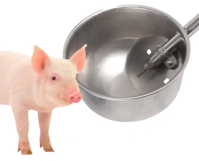 Automatische Tränkeschale aus Edelstahl 304, 15 cm für Schweine, Schafe, Ziegen