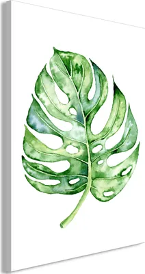 Produktbild von Vlies Leinwandbild - Watercolor Monstera (1 Part) Vertical 40x60 cm Blätter b-B-0627-b-a