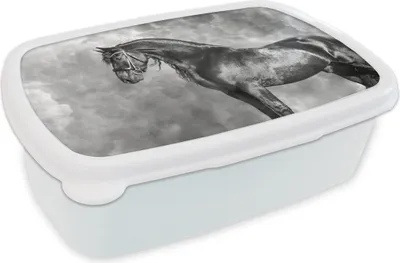 Produktbild von KitchenYeah® Lunchbox Brotzeit Brotdose 17x11 cm Friese - Pferde - Porträt - Schwarz - Weiß Kinder Brotzeitdose - Lunch Box - Kinder - Sandwich-Box - Schulbox - Lunch Boxen