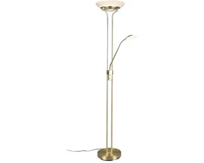 A floor lamp with two lights, one main light at the top and a smaller adjustable reading light below.