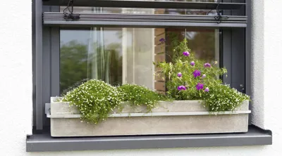 Produktbild von Blumenkastenhalterung Fenster Blumenkastenhalter verstellbar Aluminium Druckguss