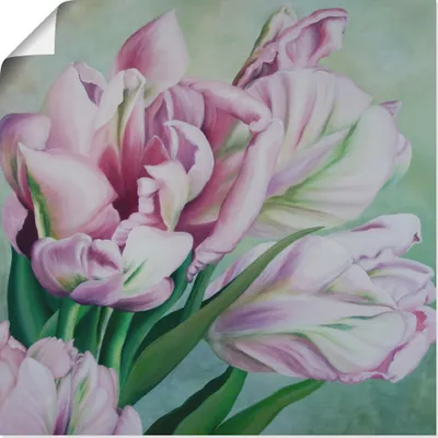 Produktbild von ARTland Poster Tulpen Größe: 40x40 cm