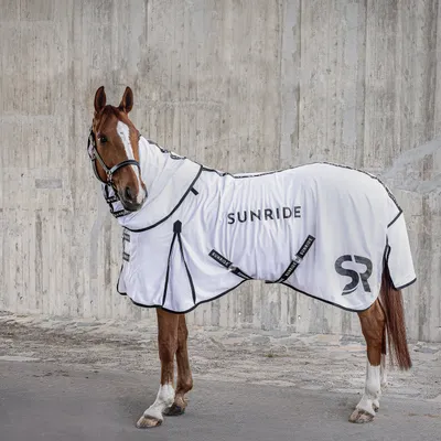 Produktbild von Sunride Fliegendecke Miami inkl. Halsteil