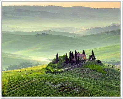 Produktbild von Wallario Wandbild Toskana in Italien, Größe: 40,30 x 50,30 cm, Poster mit weißem Aluminiumrahmen