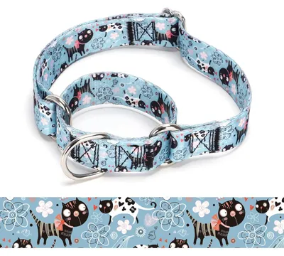 Zdjęcie produktu dla Obroża dla psa typu Martingale, nylonowa, regulowana, rozmiar L: 45–53 cm, model A85NO10