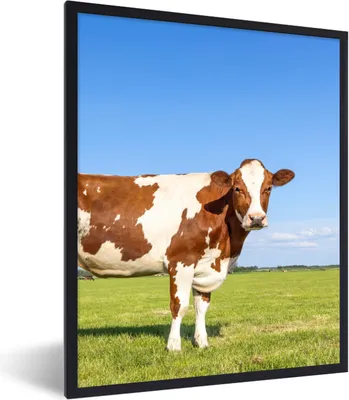 Produktbild von MuchoWow® Gerahmtes Poster Kühe - Bauernhof - Gras - Natur - Tiere 60x80 cm - Poster mit Schwarzem Bilderrahmen Wandposter Rahmen Foto Bilder - Premium - Wanddeko Wohnzimmer