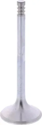 Produktbild von BMW Auslassventil 1134899