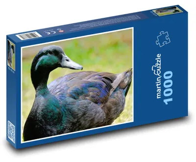 Zdjęcie produktu dla Puzzle 1000 Kaczka na zielonej łące - martinpuzzle