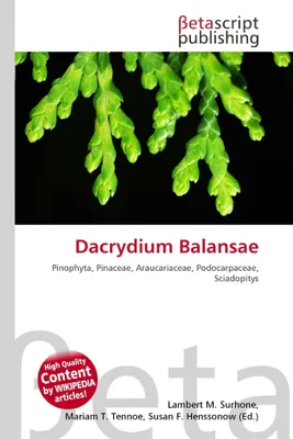 Produktbild von Dacrydium Balansae