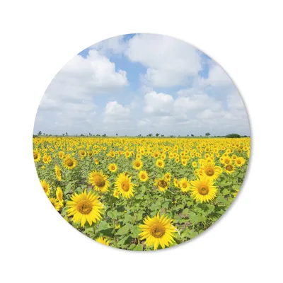 Produktbild von MuchoWow® Mauspad Mousepad Sonnenblumen - Blumen - Wolken - Natur - Gelb - Landschaft 20x20 cm - Mousepads - Maus Mat - Pad - Mausunterlage - Schreibtischmatte