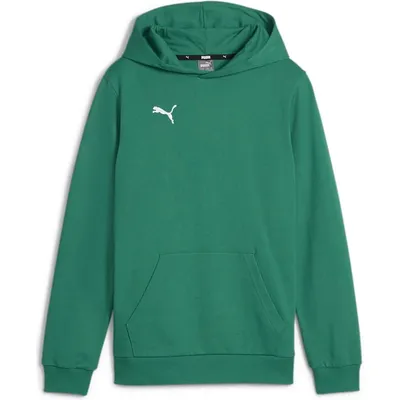 Produktbild von Puma Teamgoal Kapuzenpullover Herren - Grün