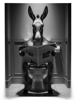 Produktbild von Muralo Poster für Badezimmer WC ESEL mit Zeitung auf Toilette Abstraktion 20x30cm