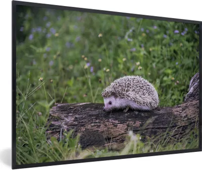 Produktbild von MuchoWow® Gerahmtes Poster Igel auf Baumstumpf 60x40 cm - Poster mit Schwarzem Bilderrahmen Wandposter Rahmen Foto Bilder - Printing - Wanddeko Schlafzimmer
