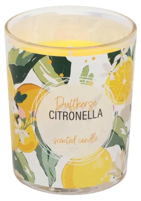 Produktbild von Steinhart Duftkerze im Glas Citronella Ø 6,5 x 7,9 cm gelb
