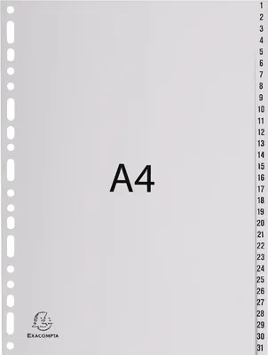 Produktbild von Exacompta Register 1931E A4 PP 1-31 grau