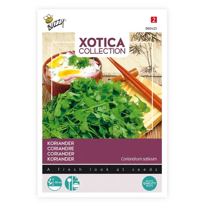 Image de Graines de coriandre Buzzy Xotica - Env. 10 gr | Buzzy_080425