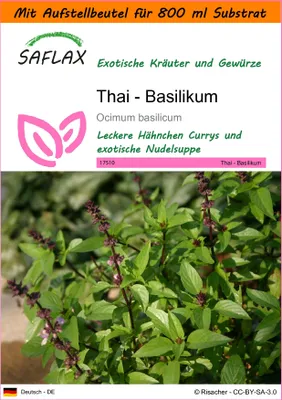 Produktbild von SAFLAX Garden in the bag - Thai - Basilikum - Ocimum basilicum - 200 Samen - Mit Anzuchtsubstrat im praktischen, selbst aufstellenden Beutel