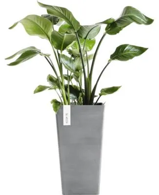 Produktbild von Pflanzvase Ecopots Rotterdam Kunststoff matt 31 x 31 x 56 cm grau
