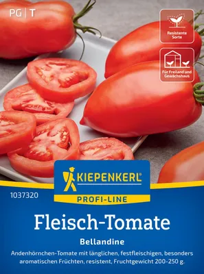 Artikelbild 2 von 'Fleisch-Tomate Bellandine F1' aus der Kategorie Fleischtomatensamen