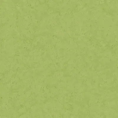 Image de Profhome 378658-GU Papier peint ton-sur ton mat vert 5,33 m2