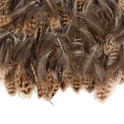 200 natürliche Fasanenfedern, braun, 5-10 cm, DIY-Bastelfedern