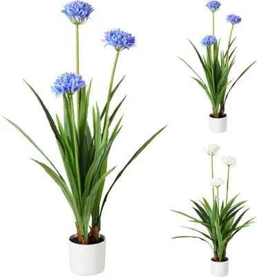 Image de Pot Agapanthe Basics Grand Pot Décoratif, Couleurs Assorties - Basics