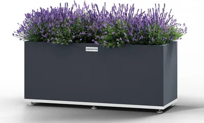 Produktbild von Pflanzenkübel Coyotto 120 x 40 x 75 cm Stahl Grau mit Metallfüßen