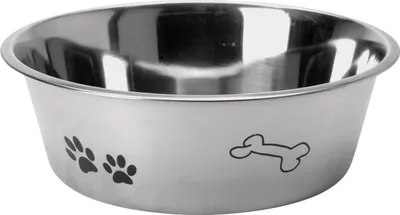 Obrázek produktu pro Základní krmítko pro psy s potiskem 24 cm z nerezové oceli