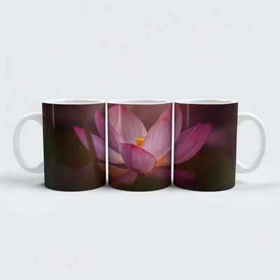 Produktbild von raxxa Premium-Tasse "Wasserrose"