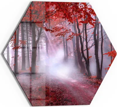 Produktbild von DEQORI Glasbild Echtglas 40x35 cm 'Roter Blätterwald' Wandbild Bild modern Deko