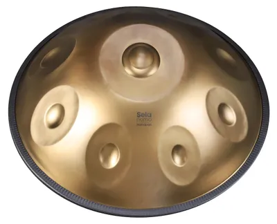 Produktbild von SELA SE HP401 Nomo Handpan D Kurd 9+3 Edelstahl