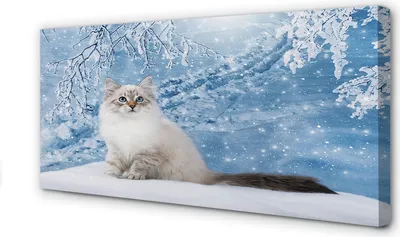 Produktbild von Leinwandbild 140x70 Wandkunst Katze Winter