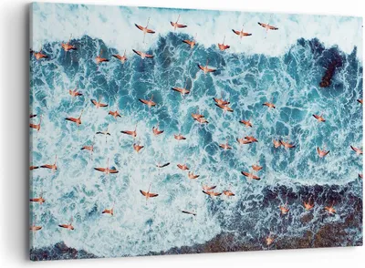 Produktbild von Bild auf Leinwand - Leinwandbild - Einteilig - Flamingos Karibik Vögel - 100x70cm - Wand Bild - Wanddeko - Wandbilder - Leinwanddruck - Bilder - Wanddekoration - Leinwand bilder - AA100x70-5013