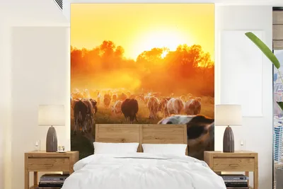 Produktbild von Tierbilder Fototapete Kühe Sonnenuntergang Weide Landschaft Breite 175 cm x Höhe 240 cm