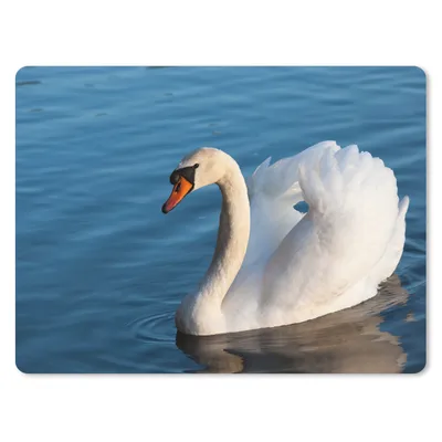 Produktbild von MuchoWow® Mauspad Mousepad Schwan - Wasser - Vogel - Weiß 40x30 cm - Mousepads - Maus Mat - Pad - Mausunterlage - Anti Rutsch