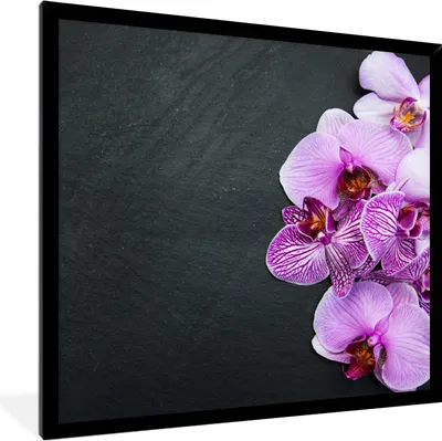 Produktbild von MuchoWow® Gerahmtes Poster Orchidee - Blumen - Rosa - Flora 40x40 cm - Poster mit Schwarzem Bilderrahmen Wandposter Rahmen Foto Bilder - Mit Rahmen - Wanddekoration Schlafzimmer