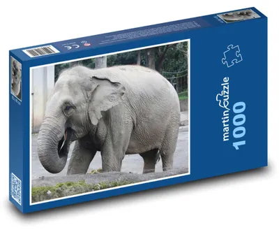 Zdjęcie produktu dla Puzzle 1000 Słoń na wybiegu - martinpuzzle