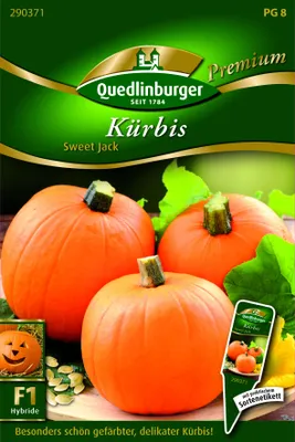 Produktbild von Kürbis 'Sweet Jack' Gemüsesamen Quedlinburger