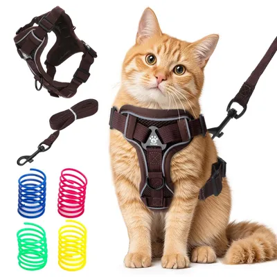 Immagine prodotto di Pettorina per gatto con guinzaglio - Antifuga - Strisce riflettenti - Per gattini e cuccioli