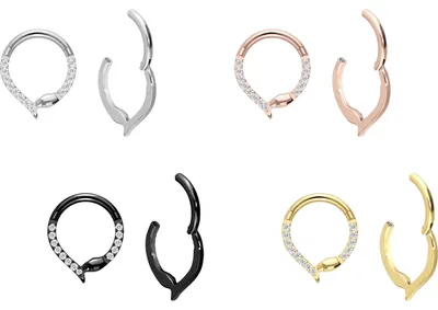 Produktbild von Ohrpiercing, Nasenpiercing, Septum Piercing Titan Segmentring Clicker KRISTALLSCHLANGE