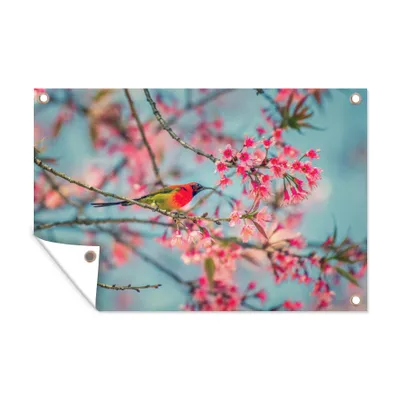 Obrázek produktu pro MuchoWow® Zahradní plakáty - Pták - Sakura - barvy - 120x180 cm - Zahradní dekorace