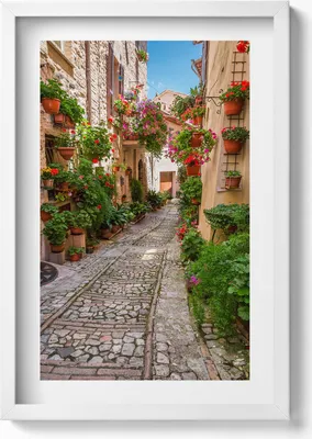 Produktbild von Eine blumenreiche Straße in Italien– Wandbild mit Rahmen – Gerahmtes Bild  – Wanddekoration – 40x60 cm – Weiß