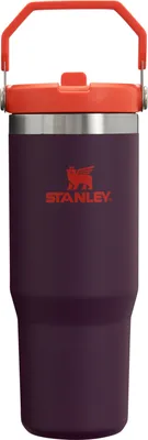 Obrázok produktu pre Stanley Iceflow Flip Straw Tumbler 0,89 l Plum (10-09993-538)