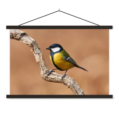 Produktbild von MuchoWow® Textilposter Vogel - Kohlmeise - Zweige 60x40 cm mit schwarzem Rahmen - Hölzernes