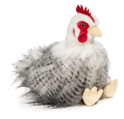 Produktbild von Kuscheltier Huhn sitzend 23 cm weiß/grau Plüschhuhn