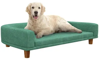 Image de Canapé pour chien avec coussin – Lit surélevé pour chien | Couleur : Vert | Dimensions : 67 x 98 x 25 cm