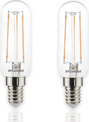 Two clear glass LED light bulbs with silver bases are shown against a white background.