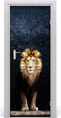 Produktbild von Tulup Türaufkleber 75x205 cm Dekorative Aufkleber Selbstklebend Wasserdichte Tapete Abnehmbar Schlafzimmer Wohnzimmer Wohnkultur - Lion unter Sternen