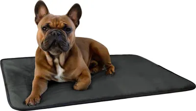 Produktbild von Aspero Hundedecke
