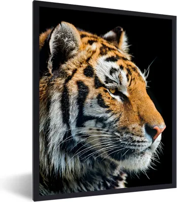 Produktbild von MuchoWow® Gerahmtes Poster Tiger - Kopf - Schwarz 30x40 cm - Poster mit Schwarzem Bilderrahmen Wandposter Rahmen Foto Bilder - Wanddeko - Kunstdrucke